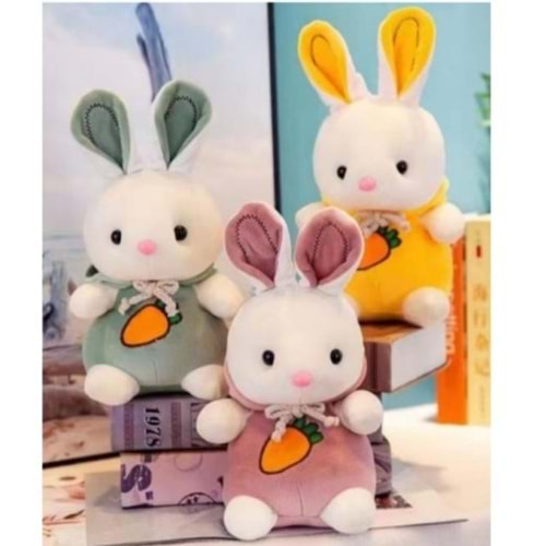 OYUNCAK PELUŞ ( 30 CM )